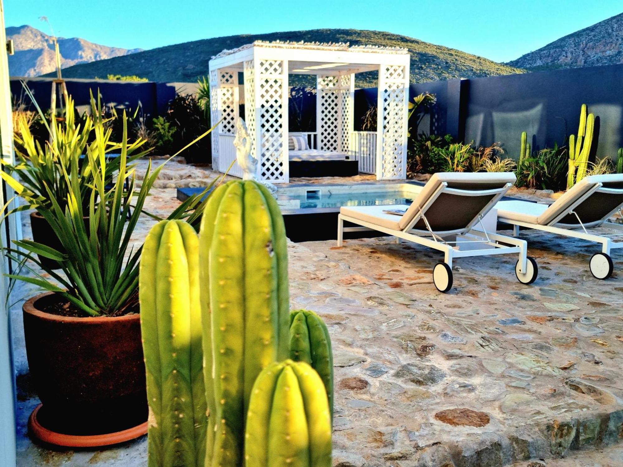 Pjure Boutique Hotel & Spa 몬터규 객실 사진