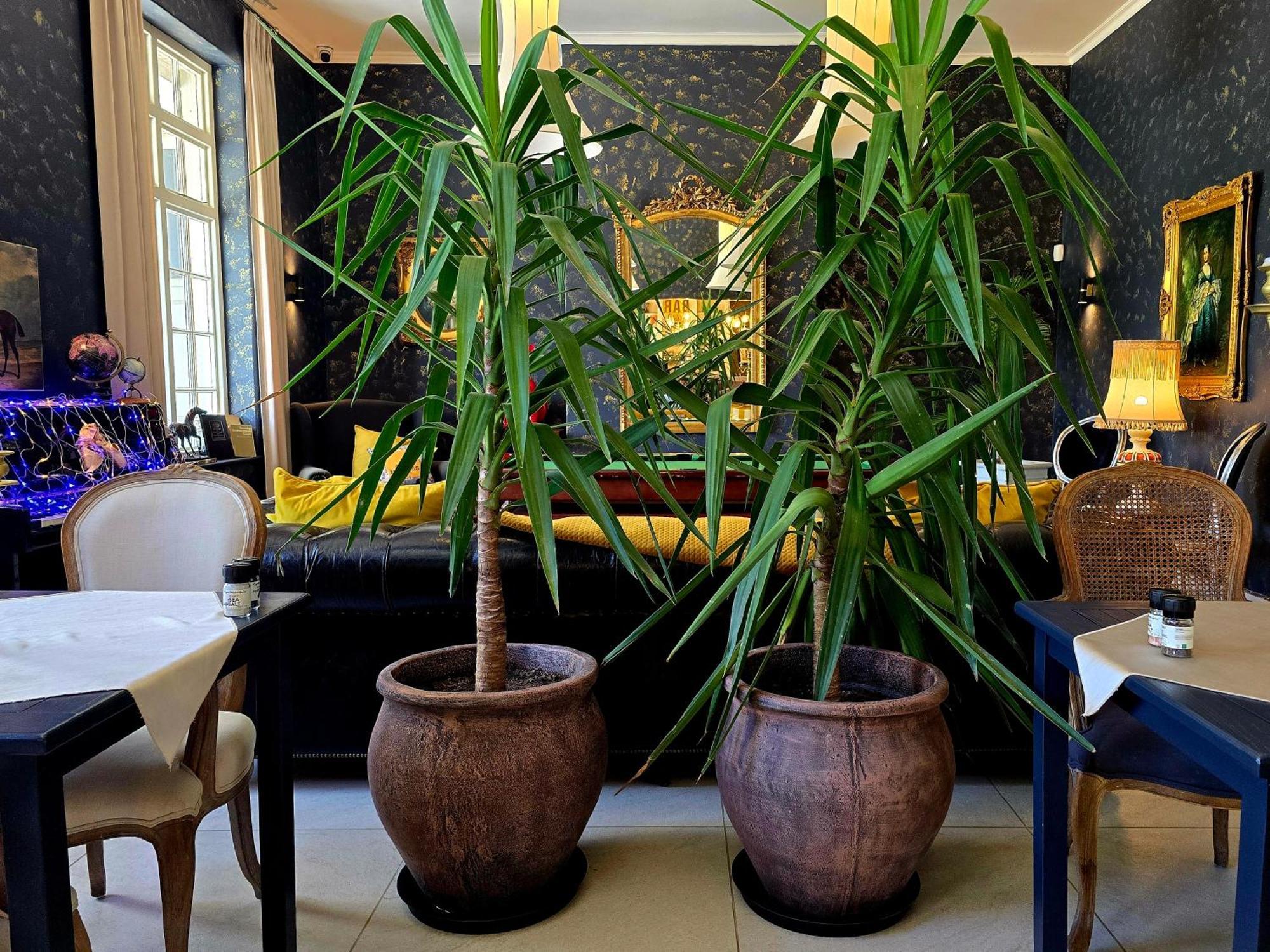 Pjure Boutique Hotel & Spa 몬터규 외부 사진